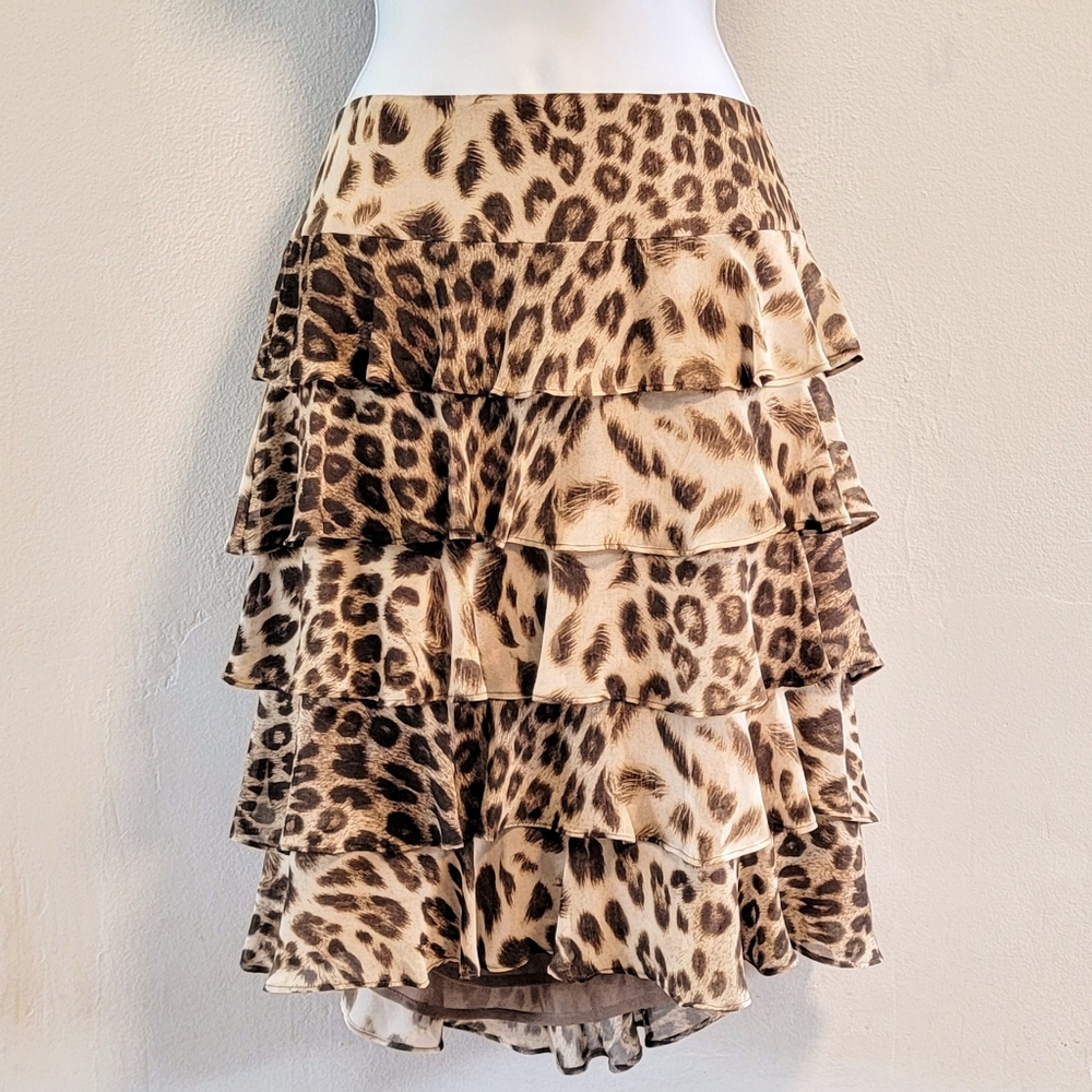 10 P Y2K Talbots Ruffle Cheetah Print Teired Fairy Grunge Goblincore Going Out